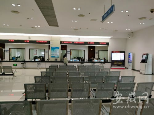 虎年開工首日探訪 安徽省政務服務中心窗口人員堅守崗位，熱情服務暖人心
